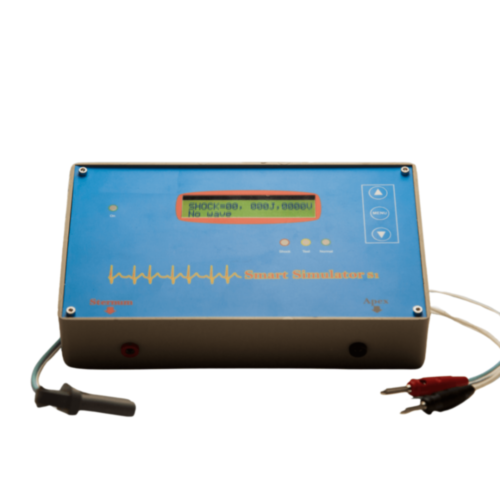 AMI Italia Simulateur S1  