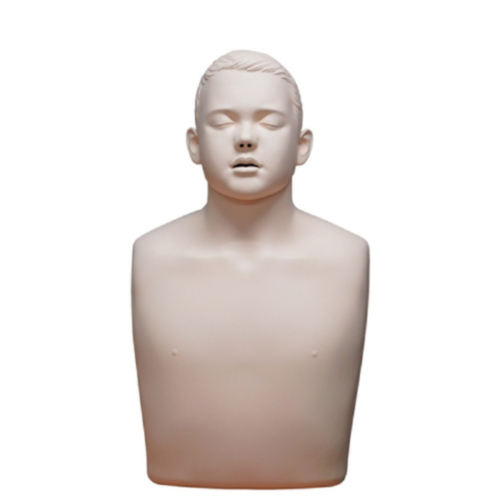 Brayden Junior kit d'actualisation - 3935