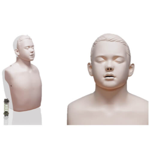 Brayden Junior kit d'actualisation - 5206