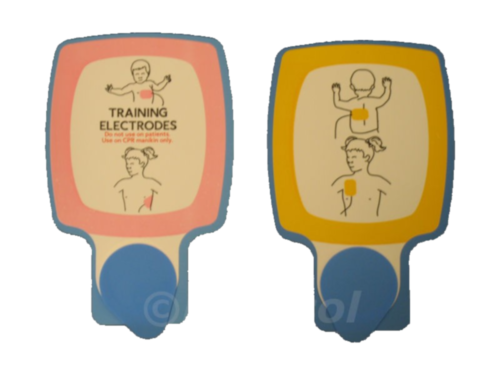 Medtronic CR Plus électrodes de formation de rechange enfants - 8067