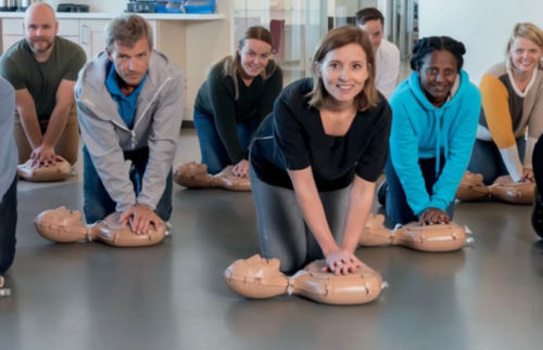 Laerdal Mini Anne Plus mannequin de formation, Unicolor - 8169